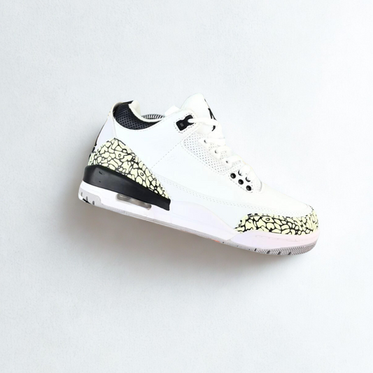 Air Jordan 3 | Varios Colores