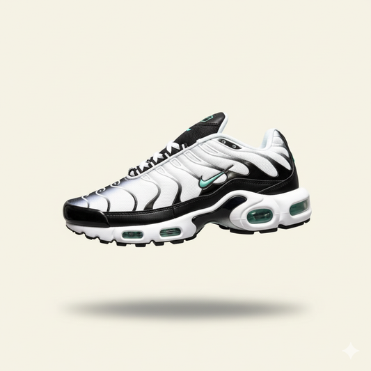 Nike Air TN | Varios Colores